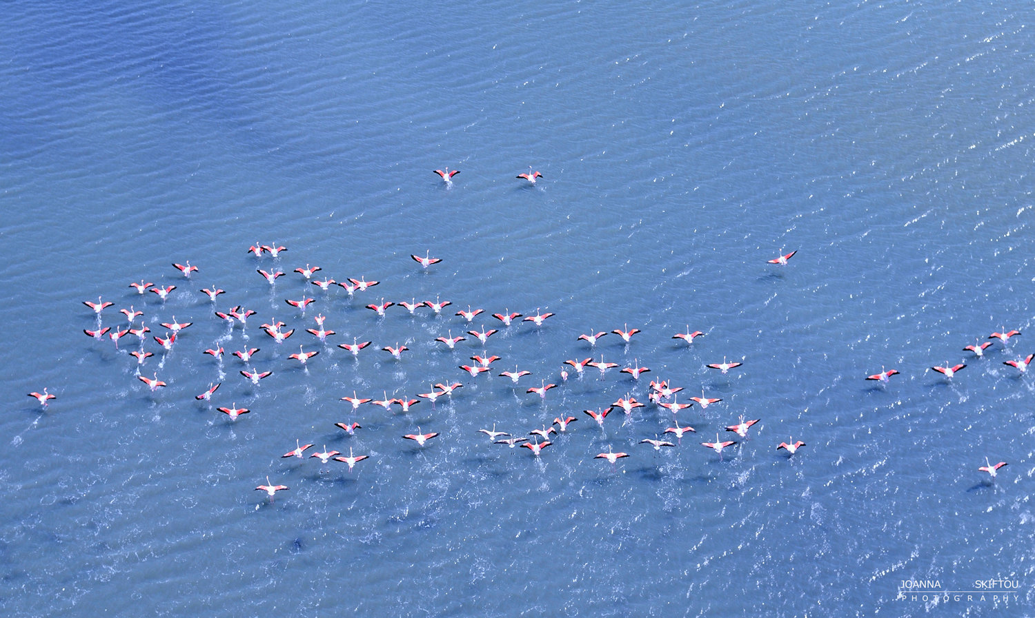 Aerial photography by Joanna Skiftou, Mitilini, Greece